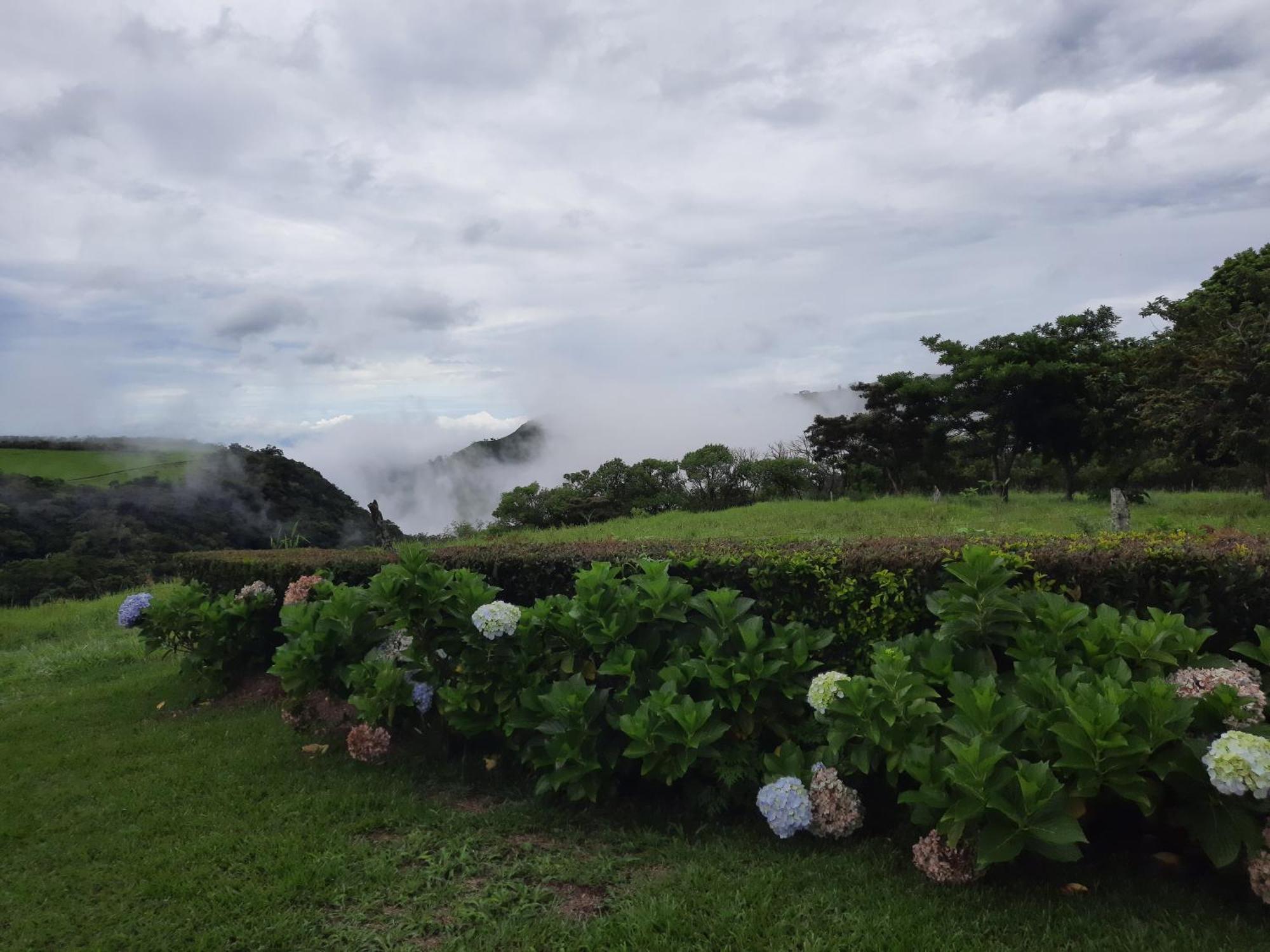 Campo Azul #2 - Monteverde Cameră foto